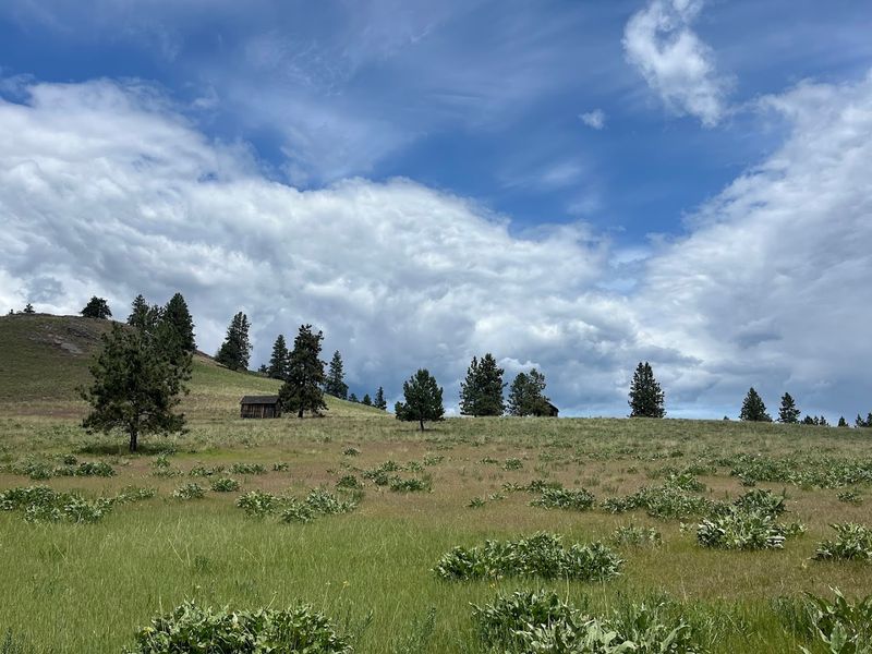 Four Miles Of Trails, Six Summits, Rare Prairie