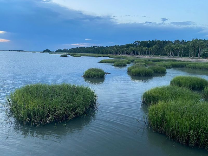 Wildlife Watching Beyond The Usual Beach Fare