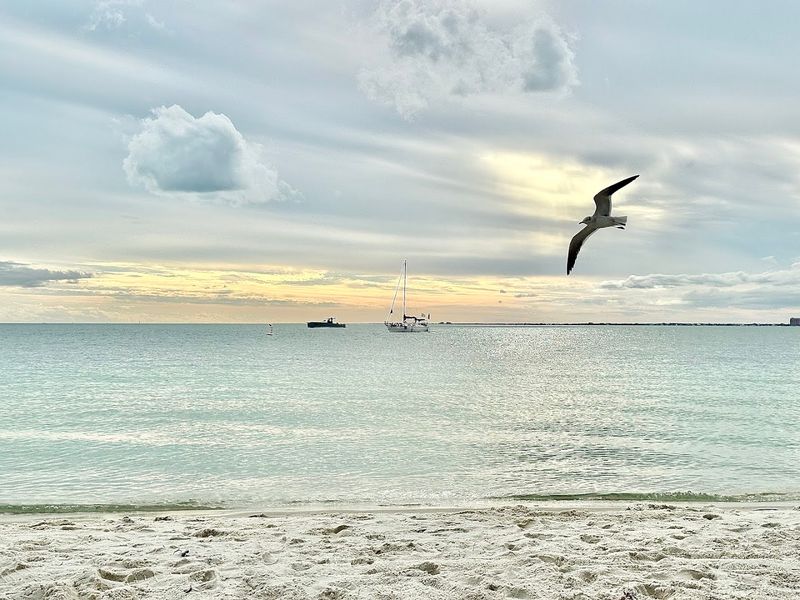 Hobie Island Beach Park