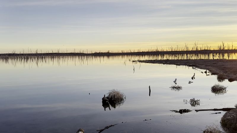 Wildlife And Nature Around The Park