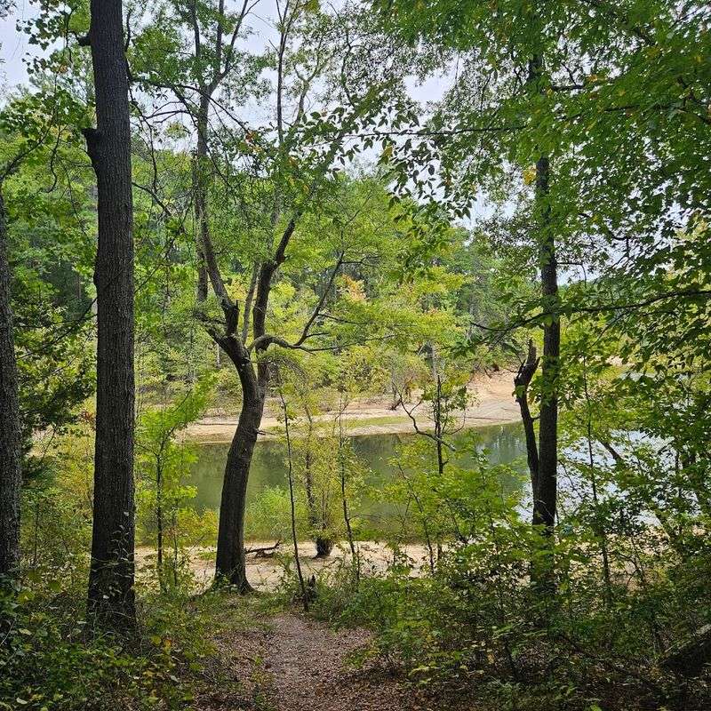 Hiking Trails That Reward The Curious And The Quiet