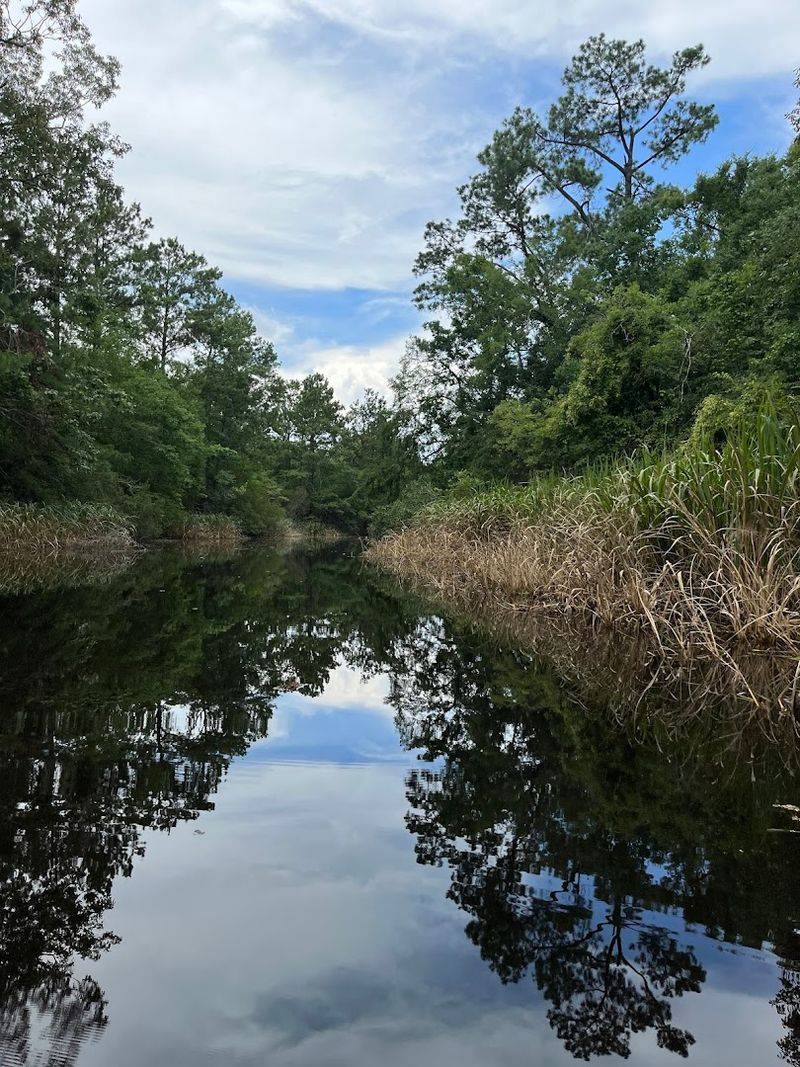 Cane Bayou Trail