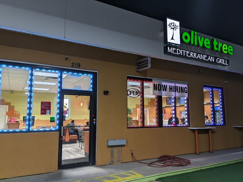 The Olive Tree
