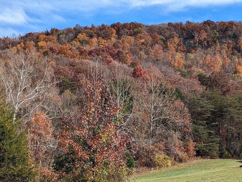 Owsley Fork Reservoir And The Quiet Pull Of Open Water