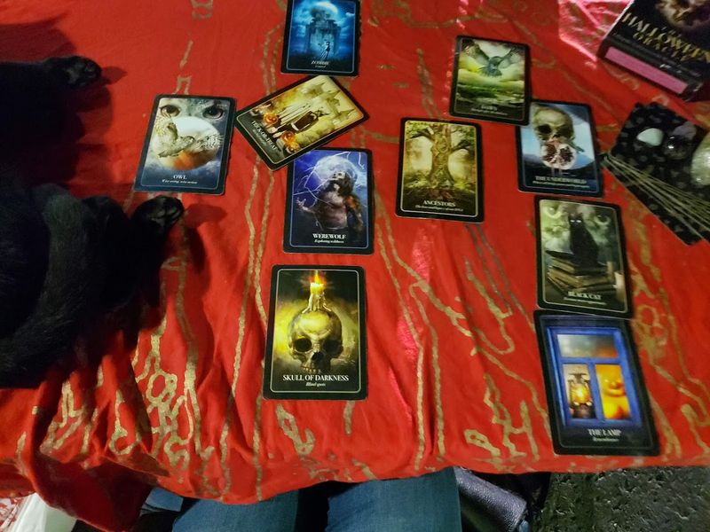 Timing Your Visit And Readings