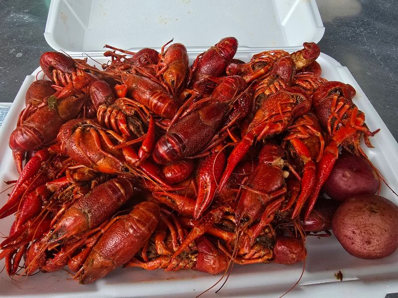 Louisiana Crawfish Festival