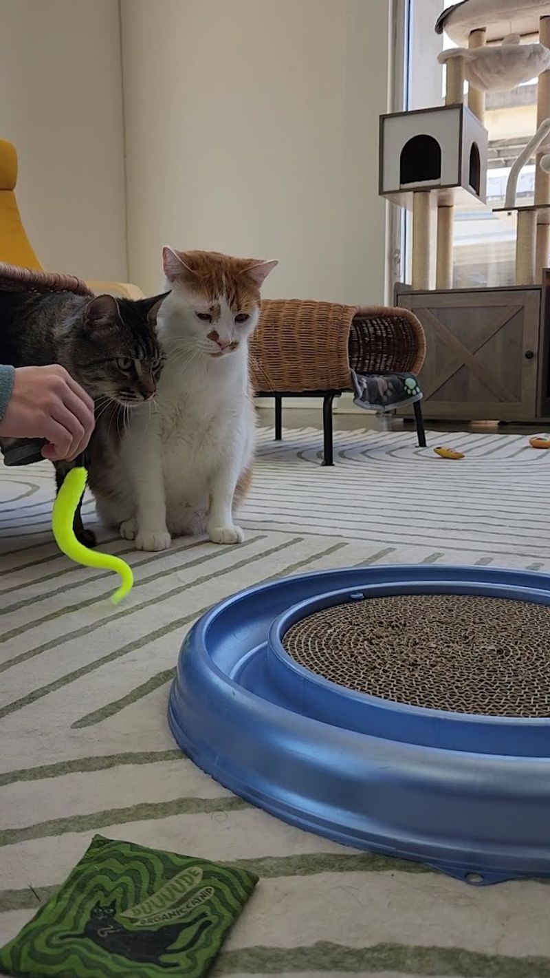 Timing Your Visit For Play Or Nap