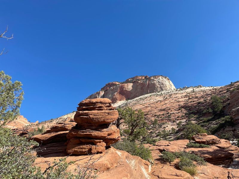 Capitol Reef National Park: The Road Trip's Best-Kept Secret