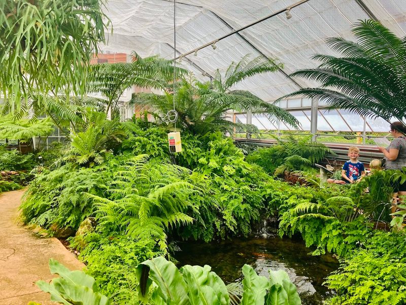 The Staghorn Fern Walk's Dramatic Textures