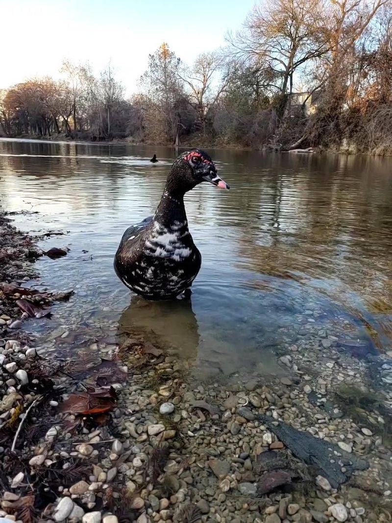 Wildlife And Natural Moments