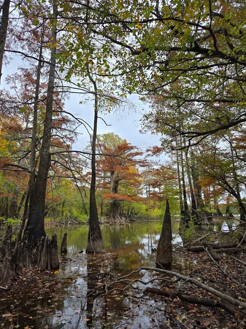 Canoeing The Sloughs Like A Local