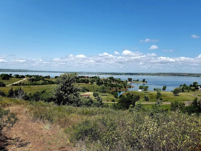 Over 100 Bird Species Call This Place Home