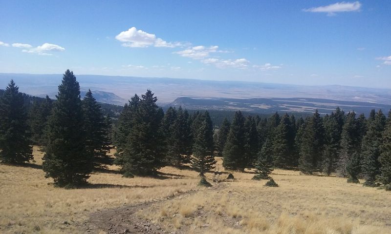 Mount Taylor