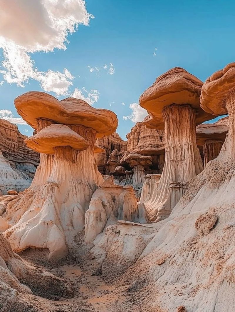 Bisti/De-Na-Zin Wilderness, Farmington