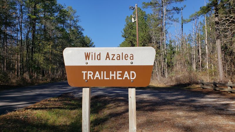 Wild Azalea Trail