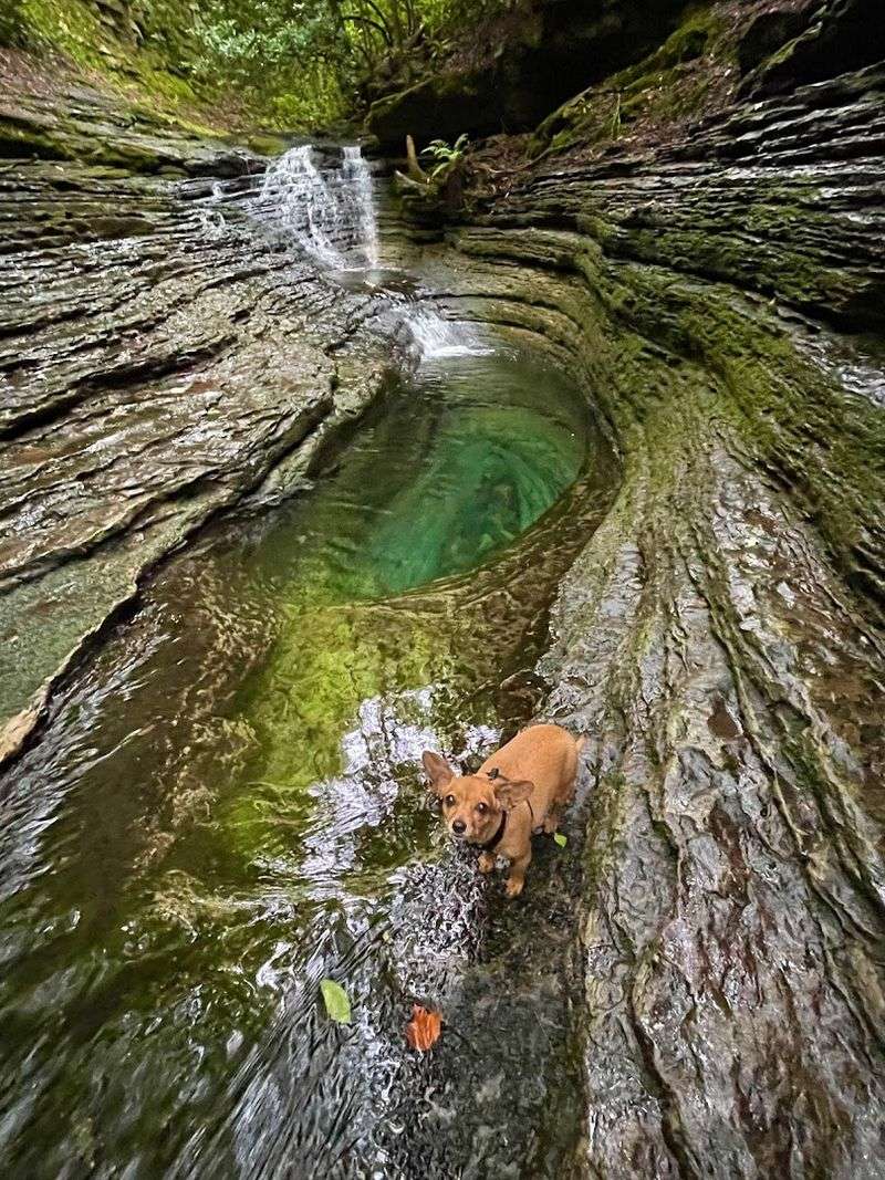 Devil's Bathtub Trailhead
