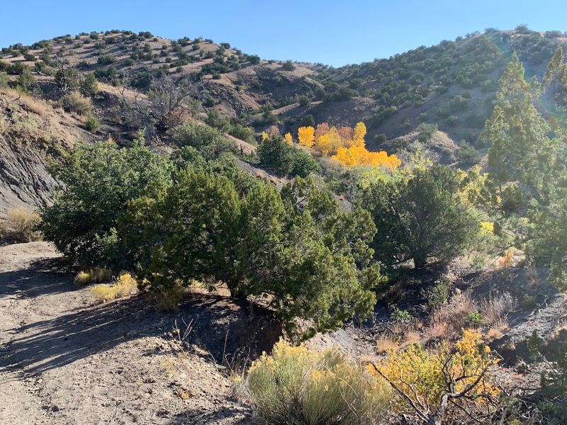 Casa Grande Trading Post And Its Surprising Extras
