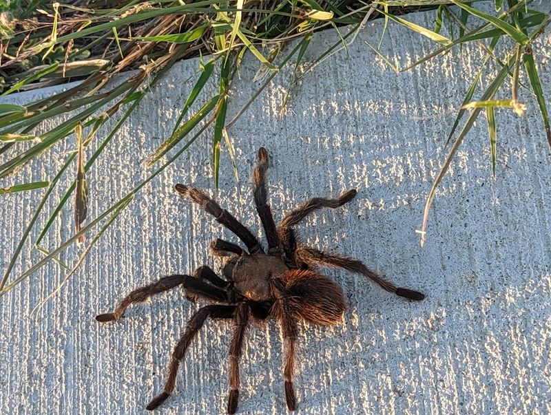 Wildlife That Keeps The Trail Interesting