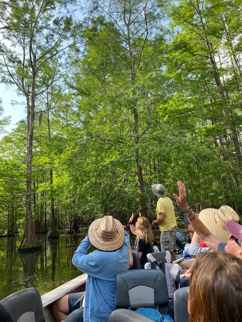 The Swamp Starts Before The Boat Moves
