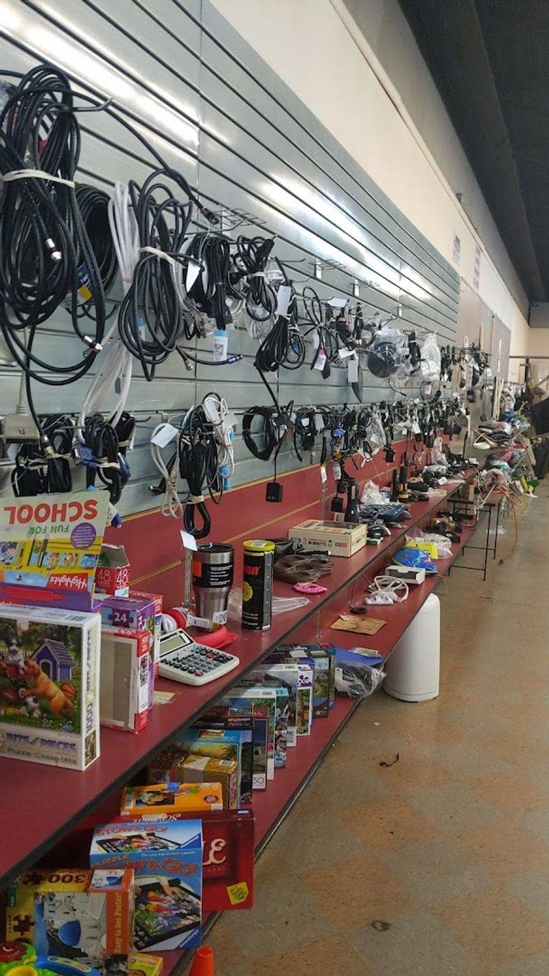 Everyday Goods With Hidden Gem Potential