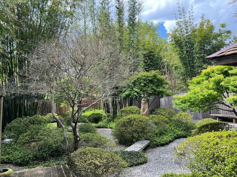 Japanese Garden Calm: Yakumo Nihon Teien