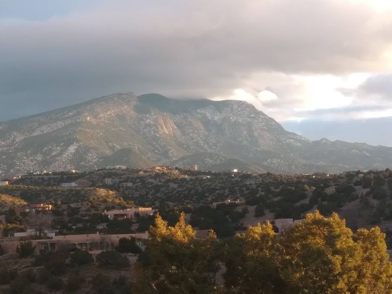Placitas