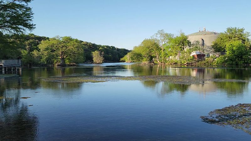 Comal Springs