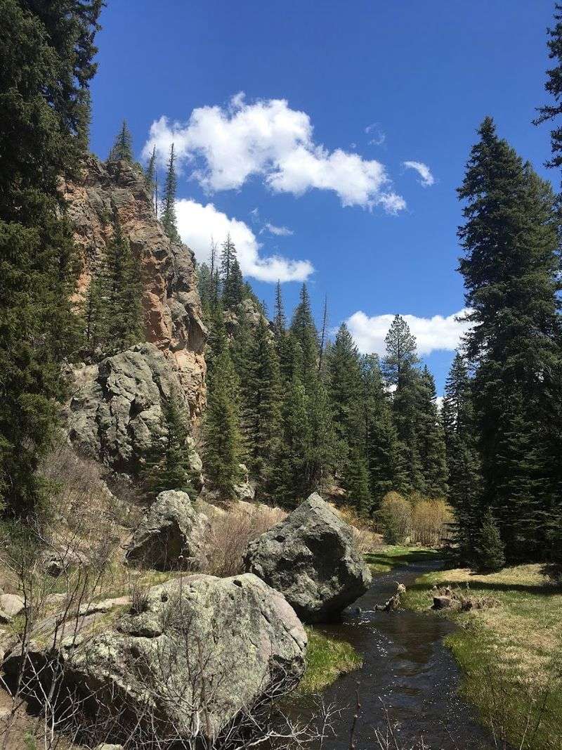 A Quiet Canyon Wrapped In Evergreens