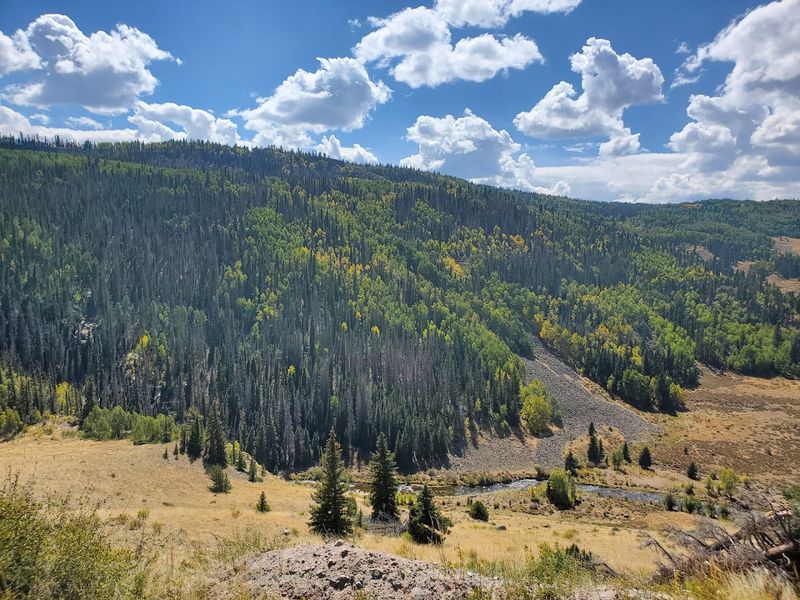 Hike Through New Mexico's National Forests