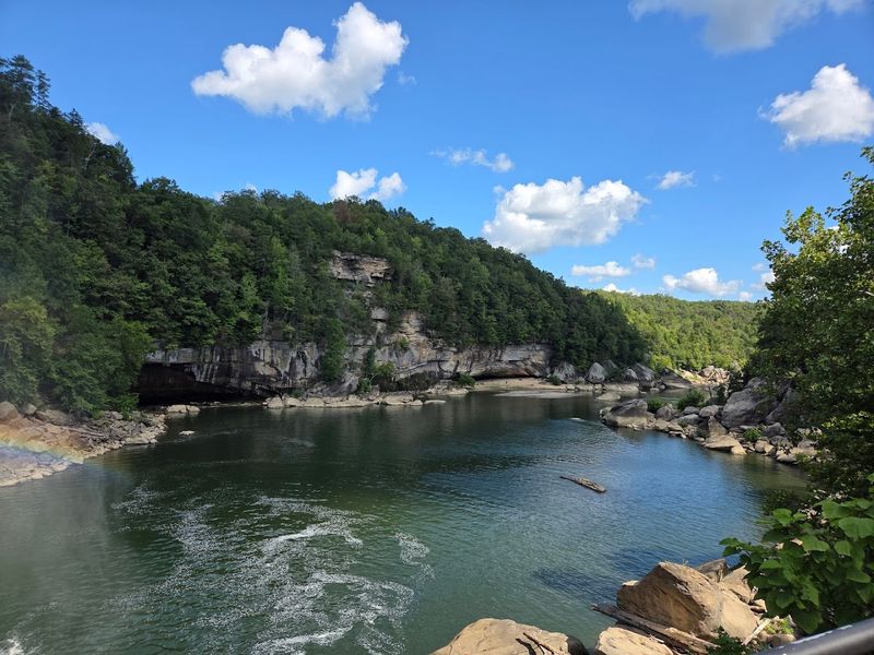 Daniel Boone Forest Setting