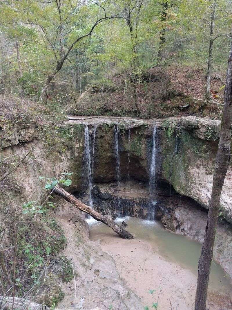 Tunica Hills Wildlife Management Area