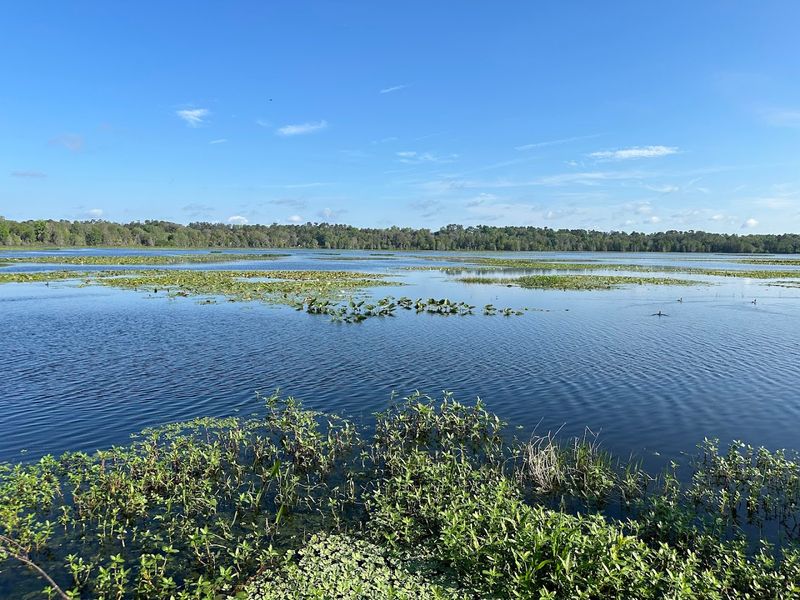 Alligator Lake Park