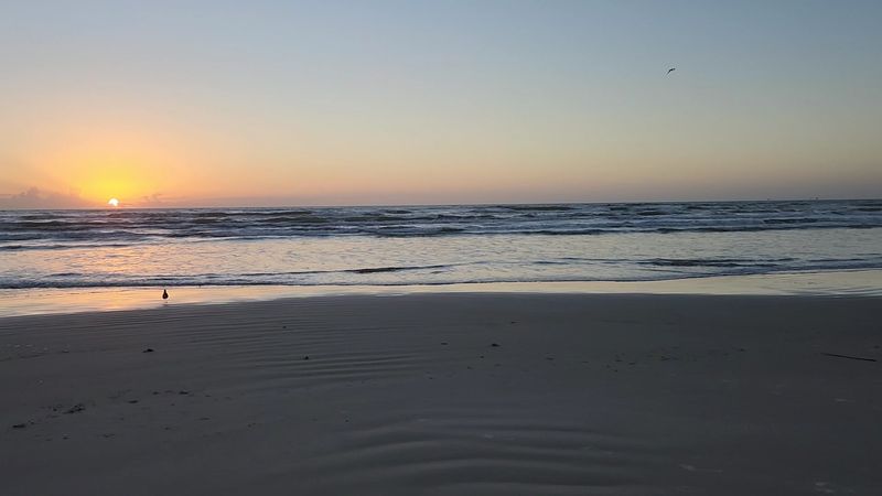Sunrise Over The Gulf Worth Setting An Alarm For