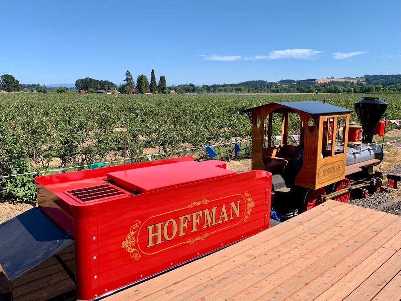 The Train Ride To The Fields