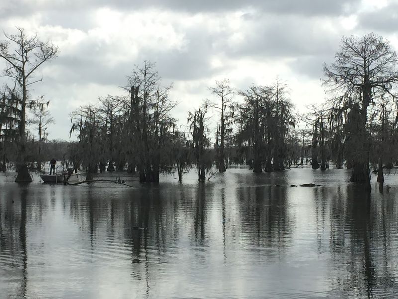Mind Boating Restrictions Near The Rookery