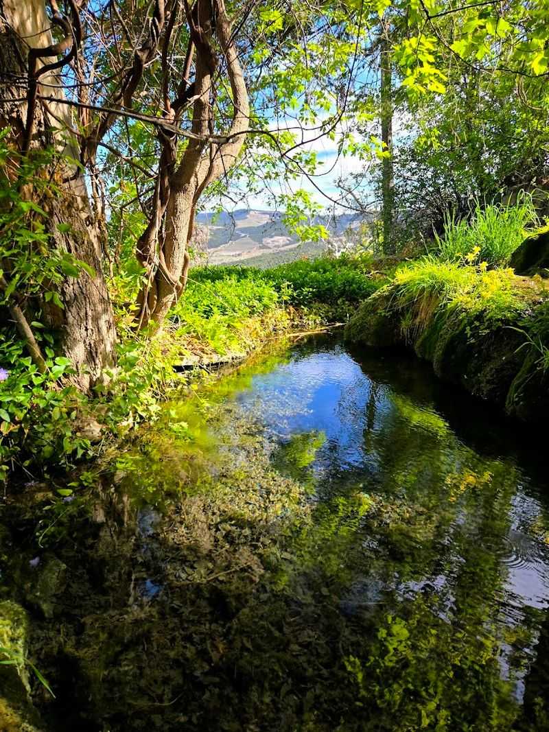 A Shaded Oasis With A Past