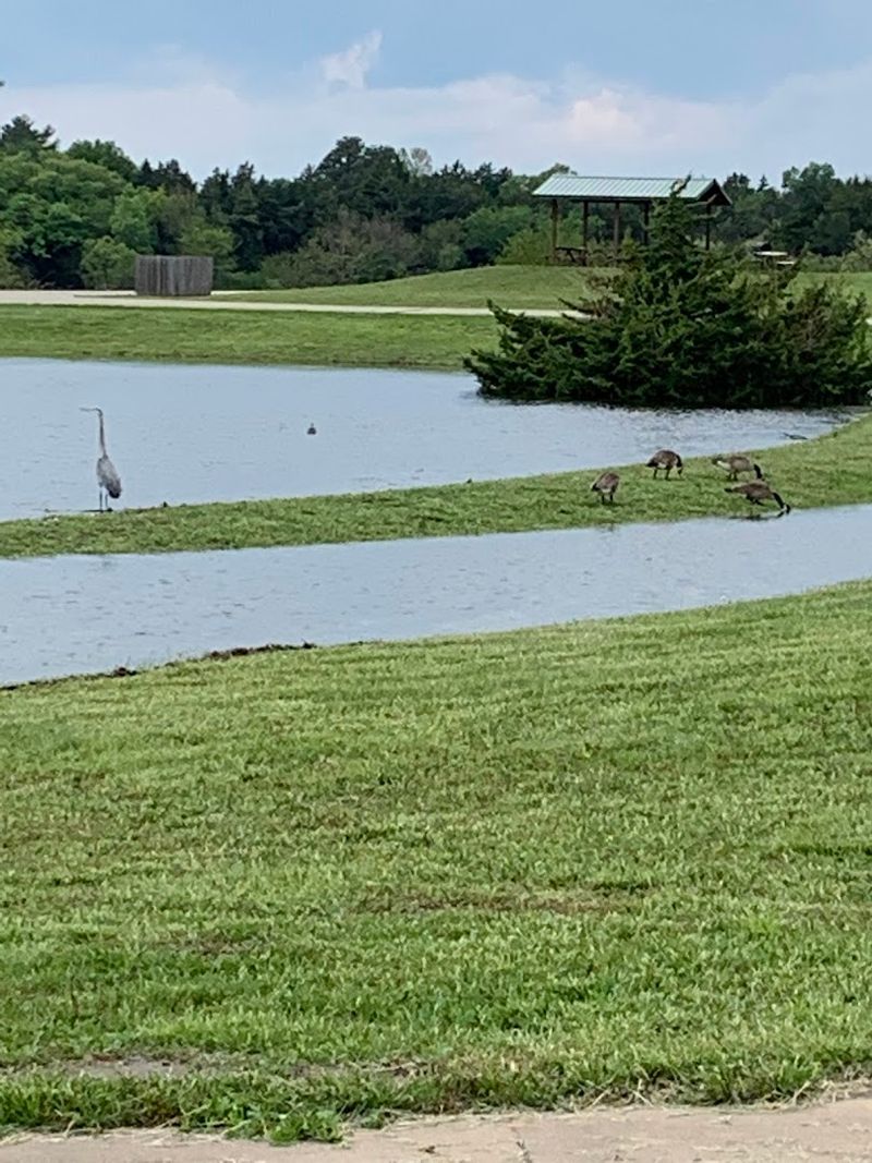 Wildlife And Nature Worth Slowing Down For