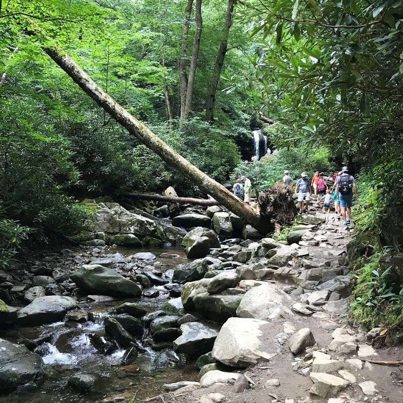 Cherokee History And Heritage