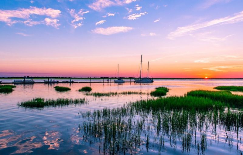The Salt Marshes And The Ecosystem Doing Quiet Work