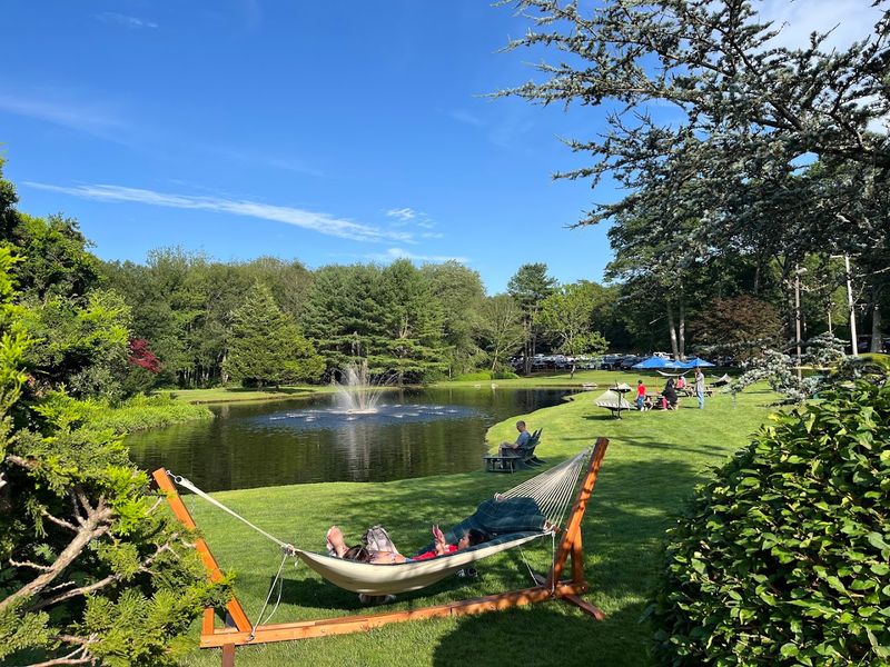 Live Music By The Lake During Summer Months