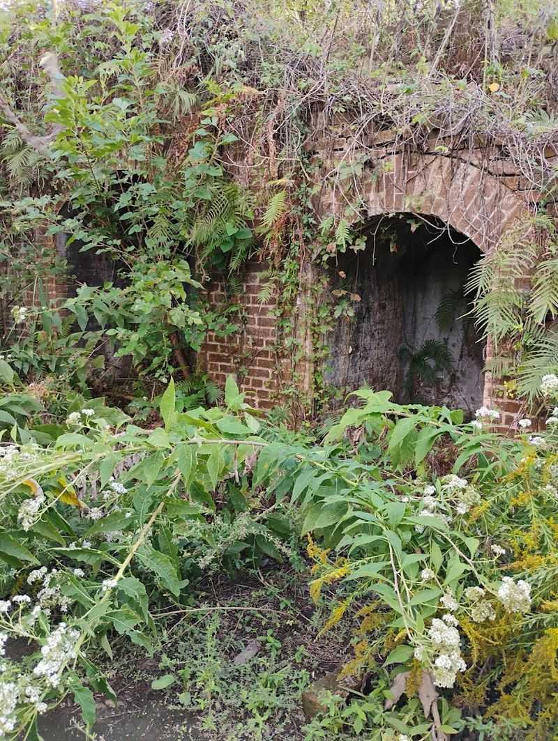 Nature Reclaiming Space