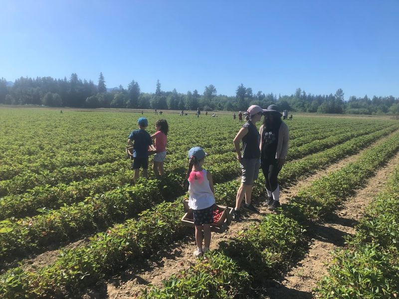 Beyond The Berry Rows