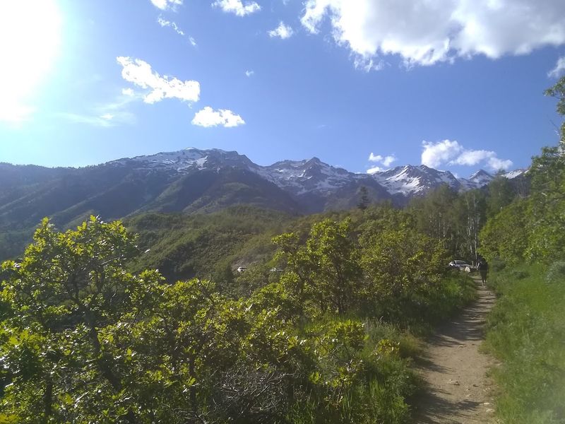 Hiking The Trails Around The Lake