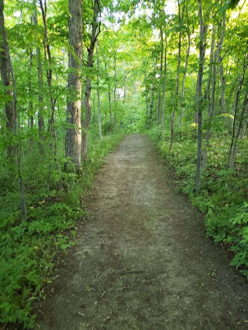 Hiking Through Wild Landscapes