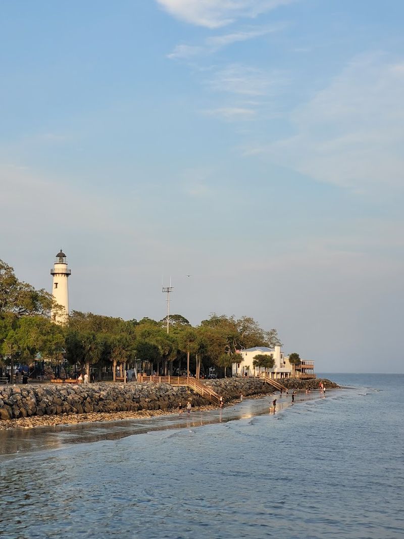 Little St. Simons Island And The Birds That Rule It