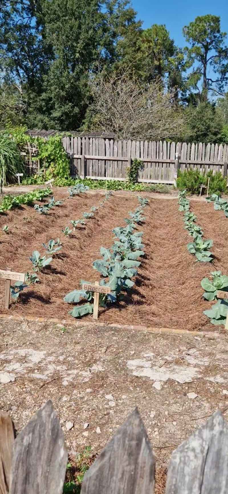The Garden And Working Landscape
