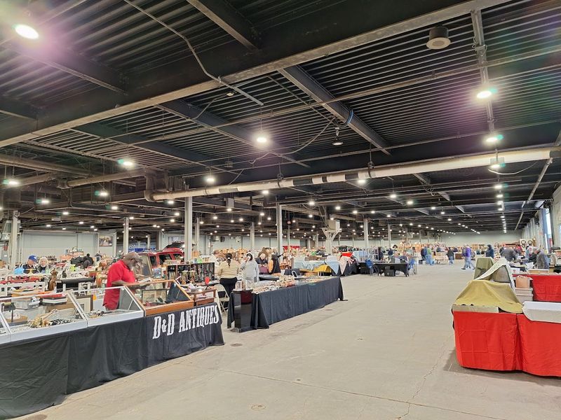 The Overstock And Bargain Bins That Reward Patience