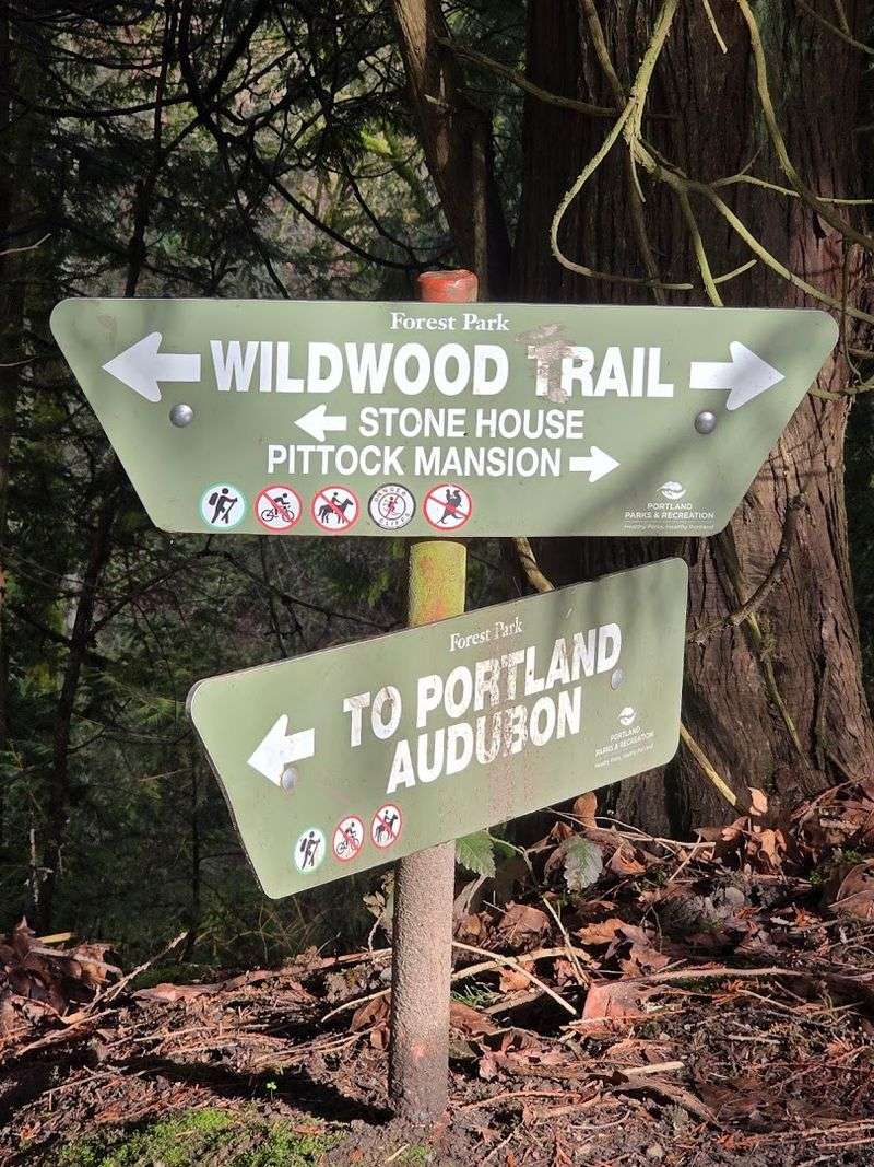 Getting There Without Getting Lost