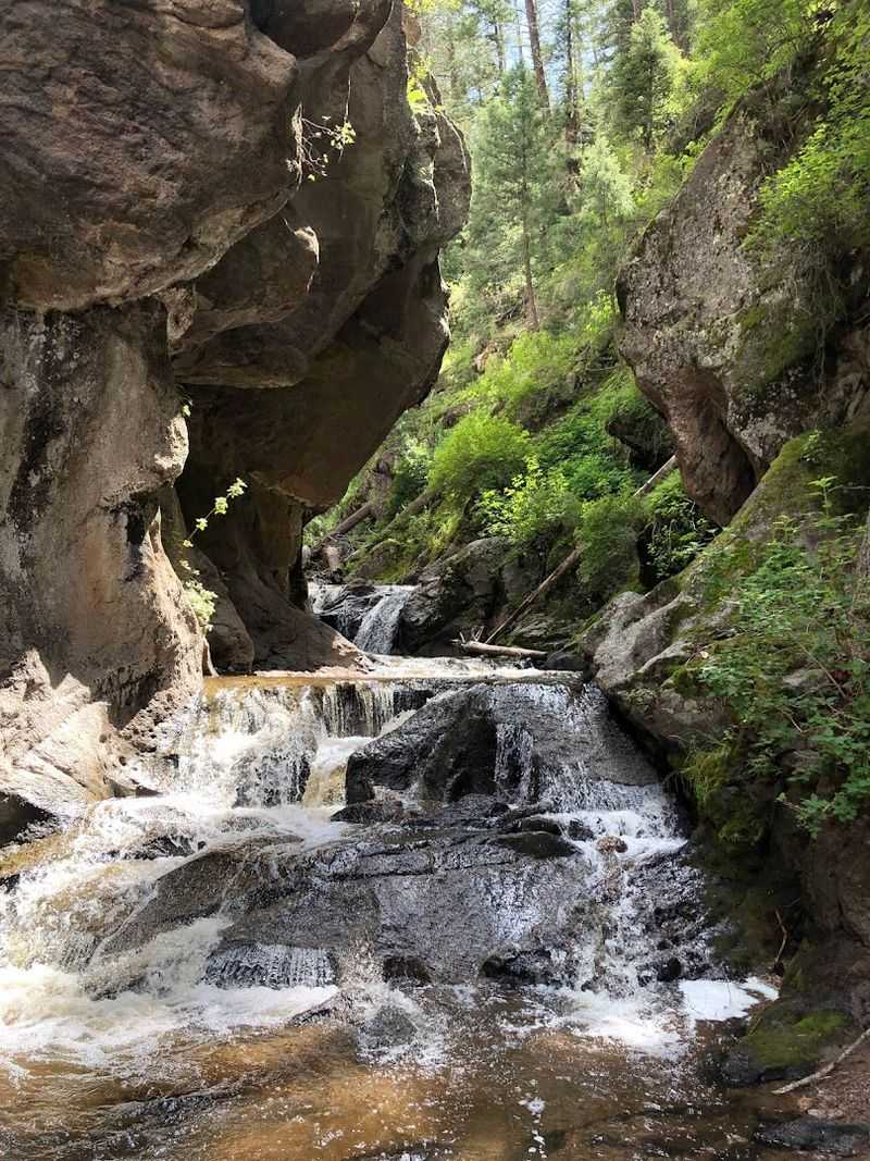 A Lush Escape Hidden Along The Highway