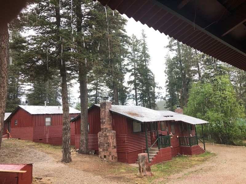 Cozy Cabins Beneath Tall Pines